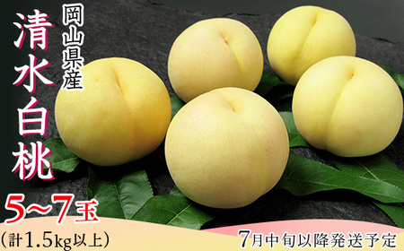 74-12 清水白桃5～7玉（計1.5kg以上）【2026年7月中旬～7月下旬発送予定】