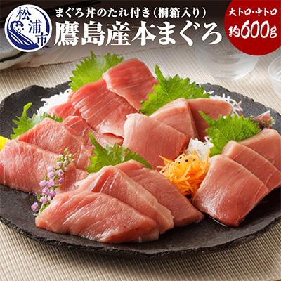 ふるさと納税 松浦市 長崎県松浦市鷹島産本まぐろ桐箱入　本マグロ中トロ約200g　大トロ約400g　計約600g