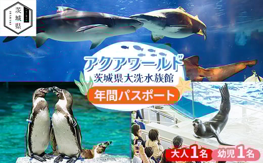 
アクアワールド茨城県大洗水族館　年間パスポート(大人1名・幼児1名分)【1510279】
