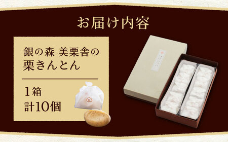 美栗舎の栗きんとん 10個入り / 栗 くり 栗きんとん くりきんとん 季節 秋 限定 栗 岐阜 セット 手土産 和菓子 スイーツ お菓子 / 恵那市 / 銀の森 [AUBG027]