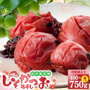 【ふるさと納税】【限定】 紀州南高梅 しそかつお梅干し 選べる 容量 400g 750g 化粧箱入り【梅干 うめぼし 南高梅 しそ梅干 紫蘇 和歌山】