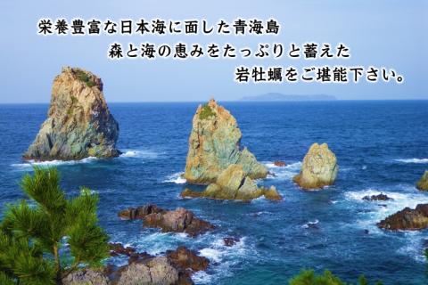 (12018)【定期便】岩カキ  1kg×3回 牡蠣 岩牡蠣 海のミルク 濃厚 クリーミー 夏バテ防止 冷蔵 冷凍 焼き 蒸し& 加熱 定期便  毎月3ヶ月