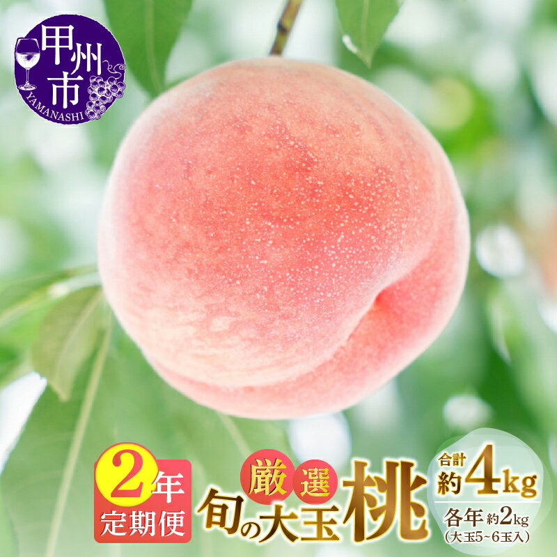 【ふるさと納税】 フルーツ 定期便 2年 桃 約2kg 大玉 5～6玉 2回 2025年発送 2026年発送 6月 7月 8月 発送 期間限定 もも 白鳳系 白桃系 果物 くだもの 果実 ギフト 贈答 山梨県 甲州市 （MG） 【C-485】
