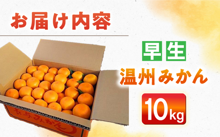 【自然の力を活かした栽培】温州みかん（早生） 10kg -2025年11月中旬より発送- 農事組合法人希望種（きぼうのたね）[ECQ004]  みかん ミカン 柑橘 温州みかん 果物 くだもの フルー