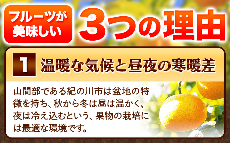 見た目は訳あり中身は変わらぬ美味しさ ご家庭用 はっさく 約10kg (サイズ不選別) 早生･晩生指定不可《2027年2月上旬-3月中旬に出荷予定(土日祝除く)》紀の川市 八朔 柑橘 果物 フルーツ 
