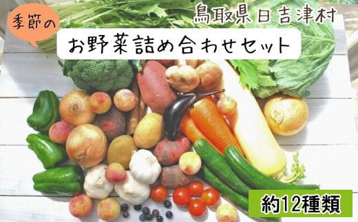 
AS01：ふるさと野菜の詰め合わせ
