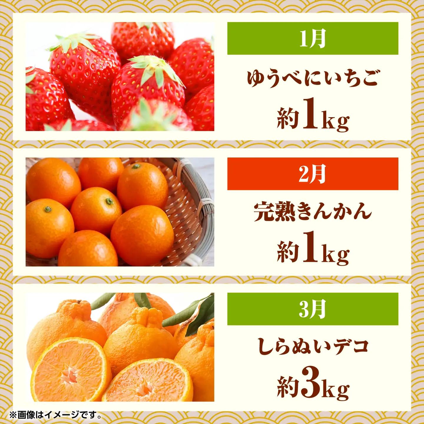 【先行予約】フルーツ10ヶ月定期便　10月～7月　ZBG078