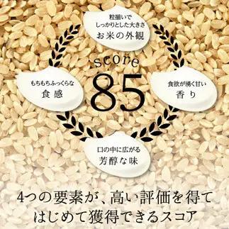 令和8年度　新米 富山県ブランド米 富富富 無洗米 5kg ふふふ ブランド米 国産 米 お米 日本米 ギフト 贈り物 備蓄 防災 食品 陽咲玲 はるざれ F6T-1050