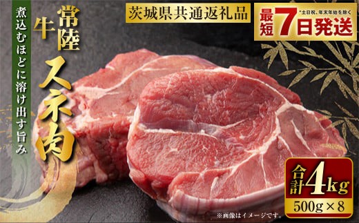 常陸牛 スネ肉 500g×8 合計4kg（茨城県共通返礼品） 小分け 茨城県産 カレー シチュー 煮込み料理 冷凍 国産