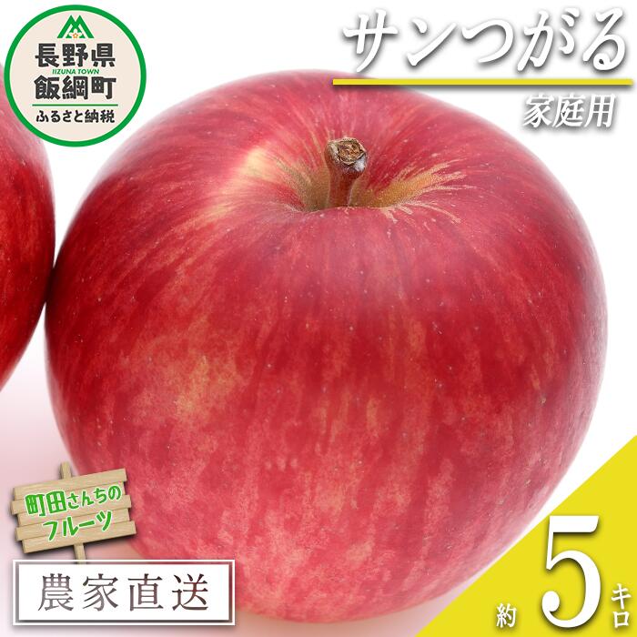 【ふるさと納税】 りんご サンつがる 家庭用 5kg 町田さんちのりんご 長野県 飯綱町 〔 リンゴ 林檎 果物 フルーツ 信州 長野 予約 農家直送 11000円〕 発送期間：2025年8月下旬〜2025年9月中旬{**}