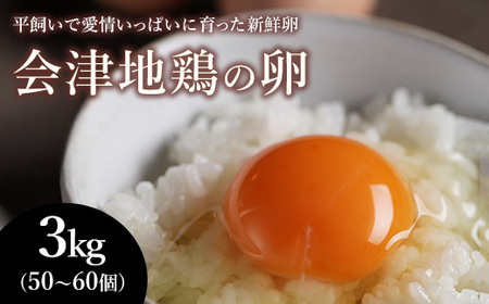 33-A 平飼い会津地鶏の卵 3kg（50～60個） ※沖縄・離島への配送不可