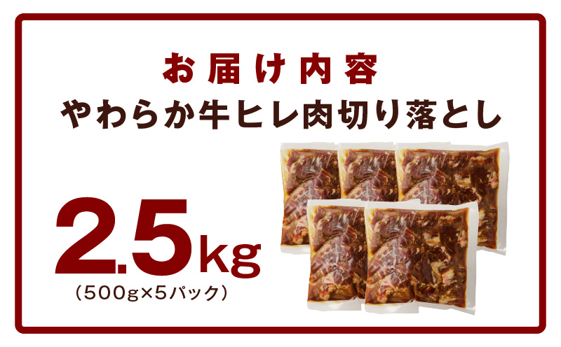 やわらか 牛ヒレ肉 切り落とし 2.5kg【小分け 500g×5P 氷温熟成×特製ダレ サイズ不揃い ステーキ ひと口サイズ カット済み】 mrz0152