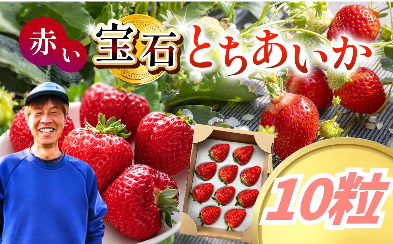 
                  とちあいか 10粒 |  赤  大粒 上品 華やか 苺 strawberry ストロベリー おいしい 甘い ジューシー 贈答用 プレゼント ご褒美 スイーツ おやつ 高評価 人気 レビュー 栃木県 真岡市 日本一 送料無料
                