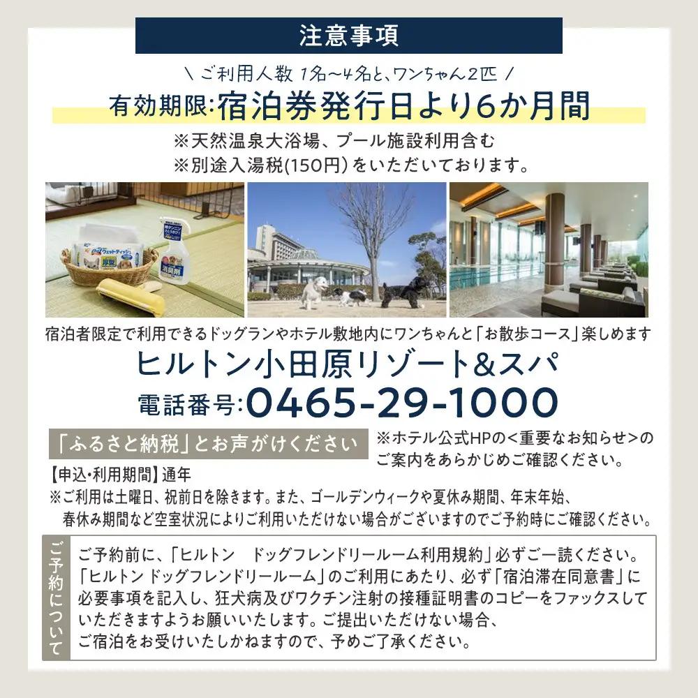 ワンちゃんと一緒にステイヒルトンドッグフレンドリールーム素泊まり（平日）【オーシャンビュー フィットネス 天然温泉大浴場 バーデゾーン 朝食ビュッフェ 都心から１時間のリゾート ヒルトン 神奈川県 小