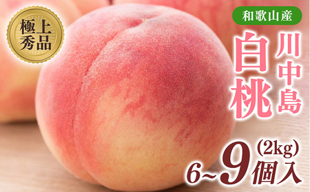 桃【川中島白桃】(大玉特秀品) 約2kg 6～9個入 こだわり農家厳選! ｜ 白桃