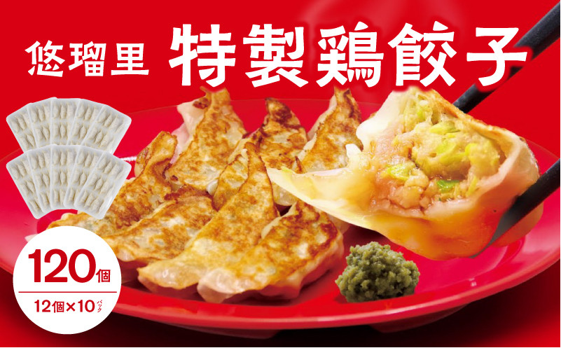
                  悠瑠里特製鶏餃子120個【宮崎市は餃子購入頻度ランキング ２年連続第１位_M293-004
                