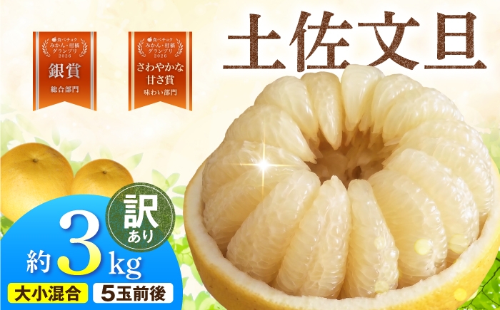 
                  【先行予約】土佐水谷農園の露地土佐文旦 家庭用約3キロ 3kg 大小混合〈2027年1月20日～発送〉フルーツ 柑橘 みかん 果物 くだもの 柑橘類 デザート おやつ 訳あり わけあり【土佐水谷農園】 [BQBD005]
                