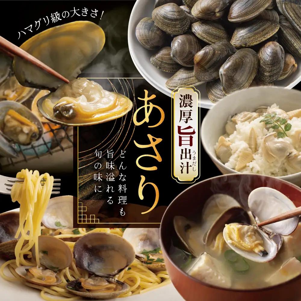 北海道産 野付産 大粒 天然 活あさり 4kg前後 北海道 別海町 大粒 野付
