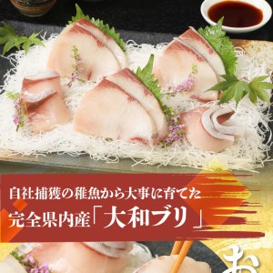 【大和海商】大和ブリの切り身 12ヵ月定期便　N072-ZG051