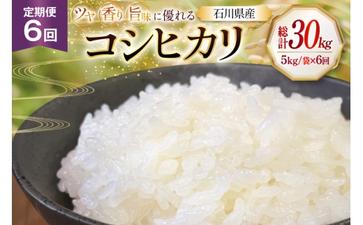米 令和8年産 6回 定期便 特別栽培米 コシヒカリ 5kg [ かさの郷 石川県津幡町 tb17bgj610011] お米 こめ 令和8年 こしひかり 10キロ おこめ ご飯 ごはん ゴハン 精米 白米 コメ kome 定期 6ヶ月 石川県産
