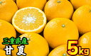 【ふるさと納税】三重県産　サンフルーツ（甘夏） 5kg【出荷目安：3月中旬〜4月下旬】　II-70