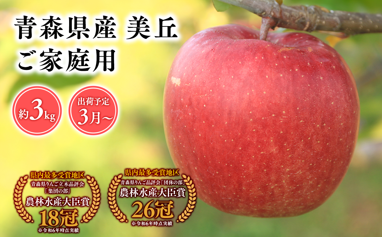 2025年産 3月発送　【訳あり】家庭用美丘3kg【青森県 平川市 そと川りんご園】３月発送 家庭用 りんご リンゴ 林檎 くだもの 果物 詰め合わせ 旬 フルーツ ３月  青森県産 青森