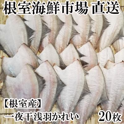 ふるさと納税 根室市 【北海道根室産】根室海鮮市場＜直送＞一夜干し浅羽かれい20枚 A-28059