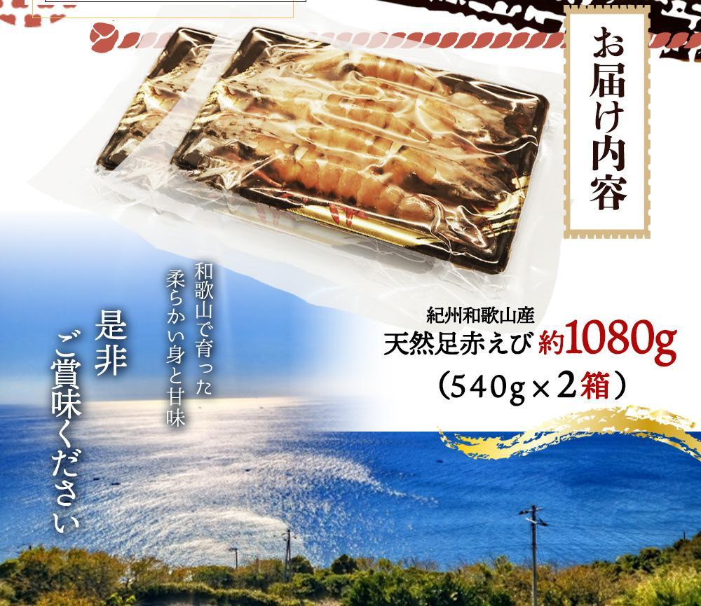 紀州和歌山産天然足赤えび540g×2箱（270g×4パック）　化粧箱入【2025年11月末頃から2026年2月上旬頃に順次発送】【UT24】