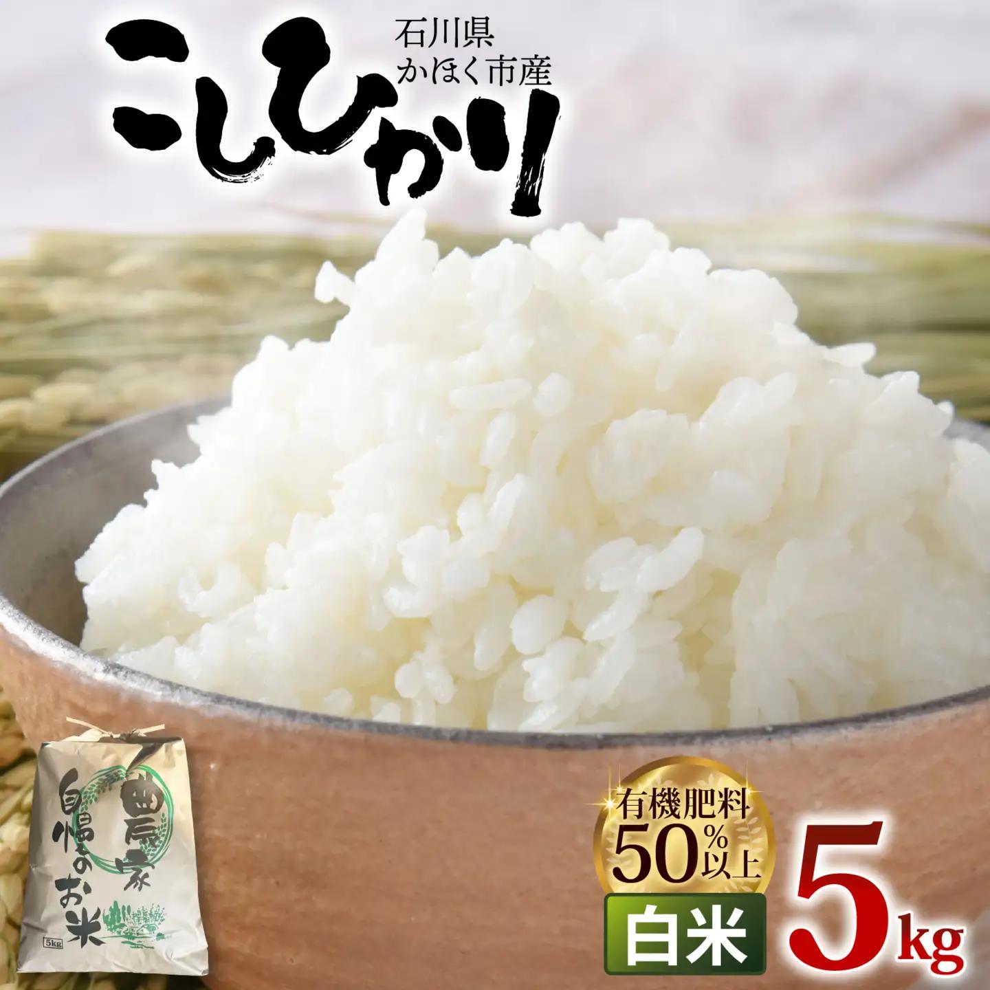 【令和8年産 新米】こしひかり  白米 5kg | コシヒカリ 