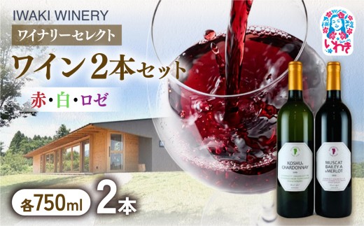 いわきワイナリー ワイン2本セット 各750ml | いわきワイナリー ワインセット いわき市 日本ワイン 国産ワイン 赤ワイン 白ワイン ロゼワイン ワイン 2本セット おまかせワイン ワイナリー醸造 国産ぶどう 果実酒 飲み比べセット セレクトワイン | CR004-2s