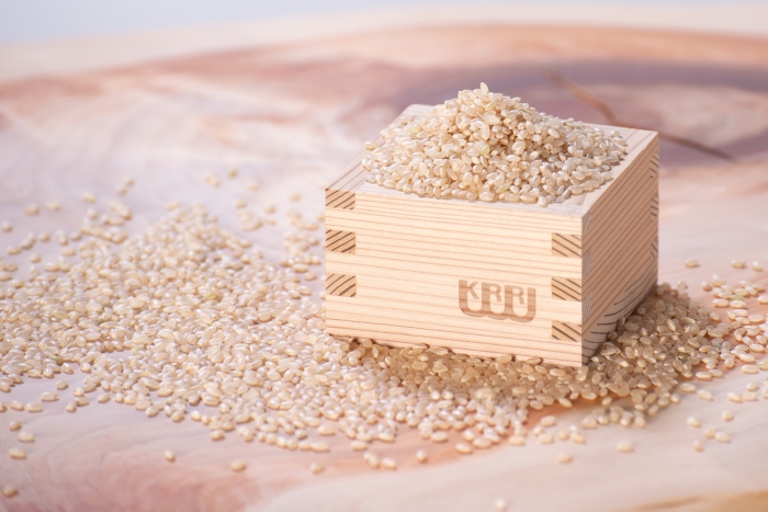 栽培期間中農薬不使用玄米麺 菊芋 1袋 ／ 樞 クルル エシカル・サスティナブル SDGs 健康野菜 糖尿病予防 奈良県 葛城市