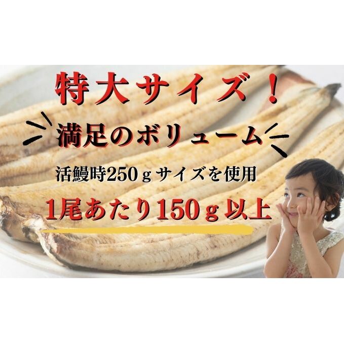 新仔うなぎ 白焼き 3尾 150g以上 かね梅 鰻 ウナギ 国産 三河一色産 手焼き 炭火焼き 炭火 丑の日 簡単調理 小分け 真空パック うな重 うな丼 ひつまぶし お取り寄せ 人気 グルメ ギフト