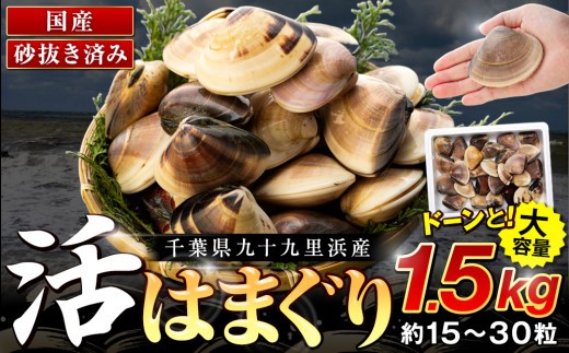 
            C01-J53 千葉県産活ハマグリ 1.5kg
          