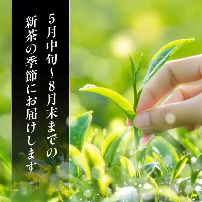 美濃白川茶 新茶セット 200g【先行予約】白川町農業開発[AWAH005]新茶