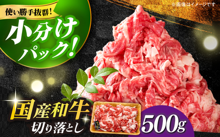 切り落し 博多和牛 切り落とし 500g [ABBP004] 切り落し