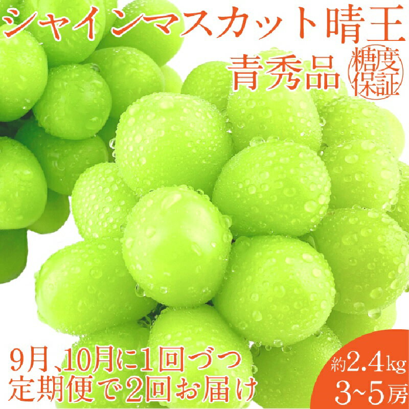【ふるさと納税】2026年 予約受付中【2回定期便】 シャインマスカット 晴王 約2.4kg（3〜5房）9月10月に1回づつ出荷/ 岡山県産 種無し 皮ごと食べる みずみずしい フレッシュ 晴れの国 おかやま 果物大国 彩美菜果 岡山県 瀬戸内市 お届け：2026年9月中旬〜2026年10月下旬