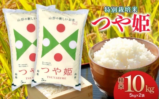 【令和7年産】特別栽培米 つや姫 精米5kg×2袋 計10Kg 【2月下旬発送】 山形県 庄内産　米食味鑑定士お薦め