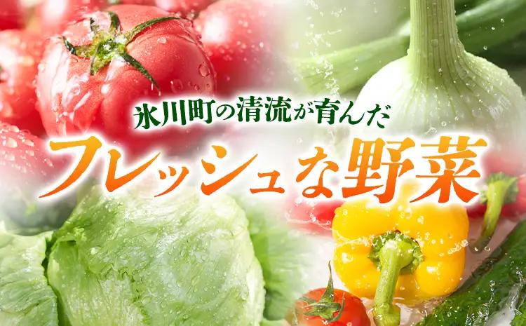 野菜果物詰め合わせセット 5-7品 野菜
