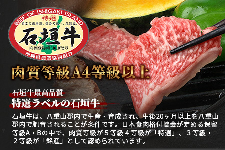 【訳あり】石垣牛 焼肉用　(不揃い)　500g【 訳アリ 沖縄県 石垣島 石垣牛 国産 黒毛和牛 牛肉 牛 和牛 焼肉 BBQ】AB-26