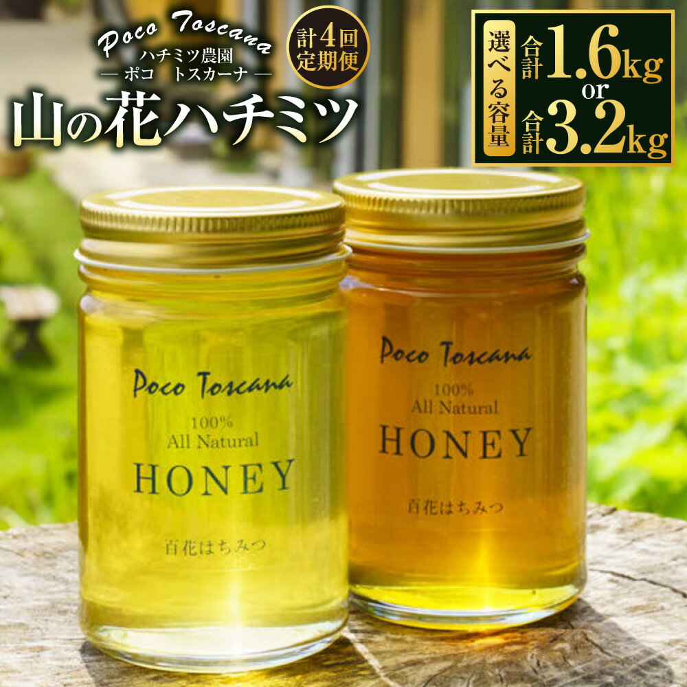 【ふるさと納税】年4回定期便 (1月 ・ 4月 ・ 7月 ・ 10月配送) 山の花 ハチミツ 選べる1回あたりの容量 ( 200g瓶×2本セット / 400g瓶×2本セット ) | 蜂蜜 化粧箱 はちみつ ハニー 蜜 天然 非加熱ハチミツ 美容 健康 九州 長崎県 長崎市 常温