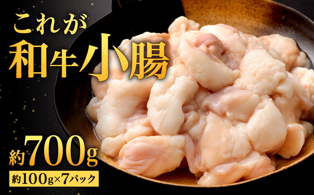 
これが和牛小腸 約700g (約100g×7パック)
