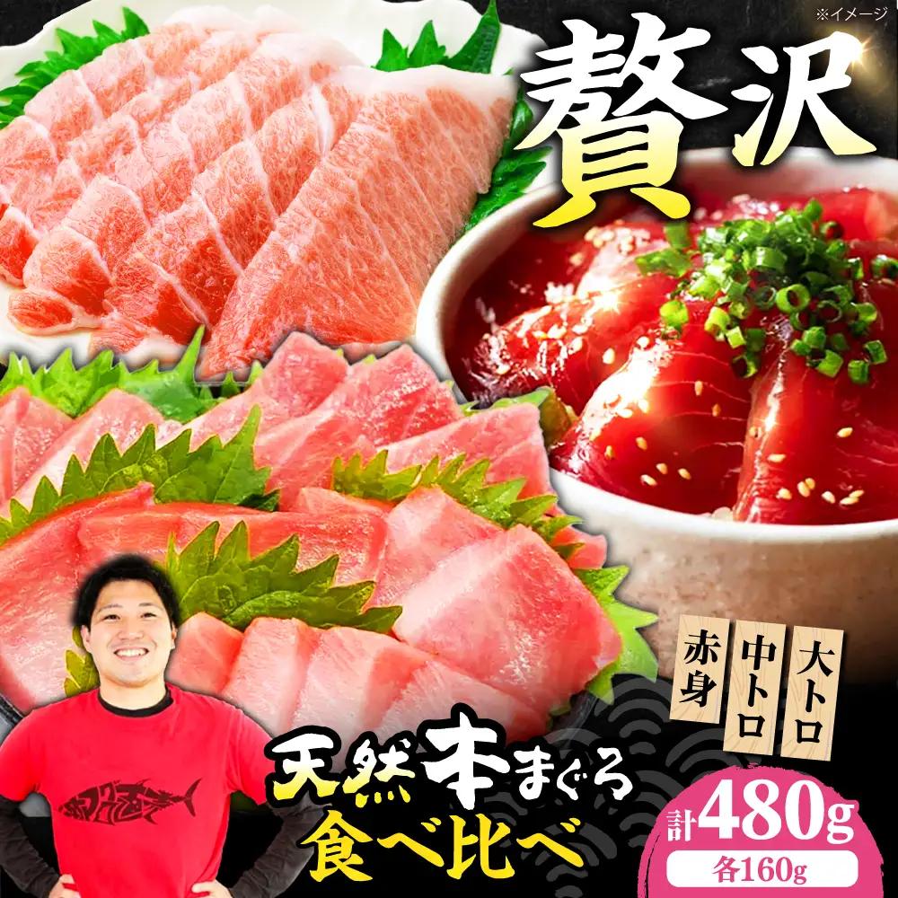 たね熟天然本まぐろ赤身＆中トロ＆大トロセット(各160g 計480g)[AOCE012]まぐろ