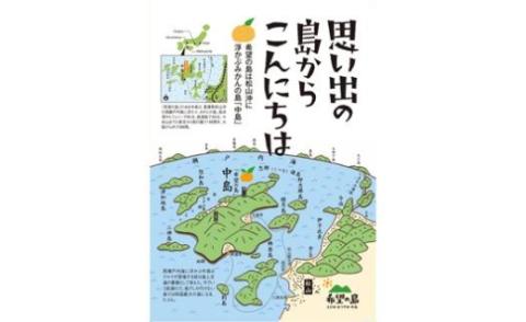 愛果28号 家庭用 約3kg 【12月中旬から発送予定】 愛媛 中島産  愛媛県産 みかん 柑橘 希望の島