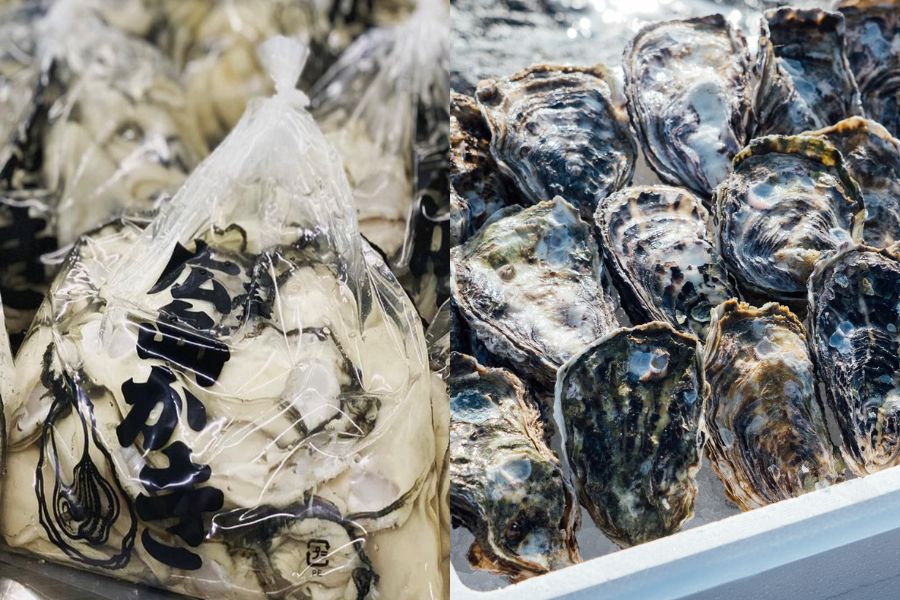 【ふるさと納税】【予約商品】牡蠣　広島　むき身牡蠣1600g（800g×2）＆殻付き牡蠣（5個〜8個）　矢野水産【配送不可：離島】【配送時期：2026年1月上旬〜2026年4月上旬】