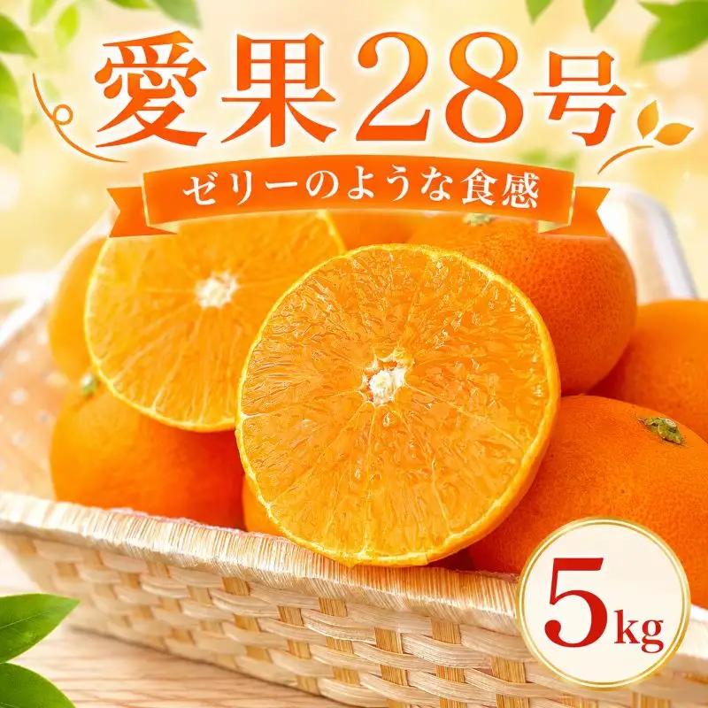 愛果28号 (紅まどんな と同品種) 約5kg 【2026年11月中旬頃より順次発送】 | あいか 愛果28号 紅まどんな と同品種 みかん 柑橘 アイカ 先行予約 ミカン かんきつ 果物 フルーツ おすすめ 蜜柑 くだもの オレンジ orange グルメ お取り寄せ デザート おれんじ 送料無料 愛媛県 松山市 【MWS001】