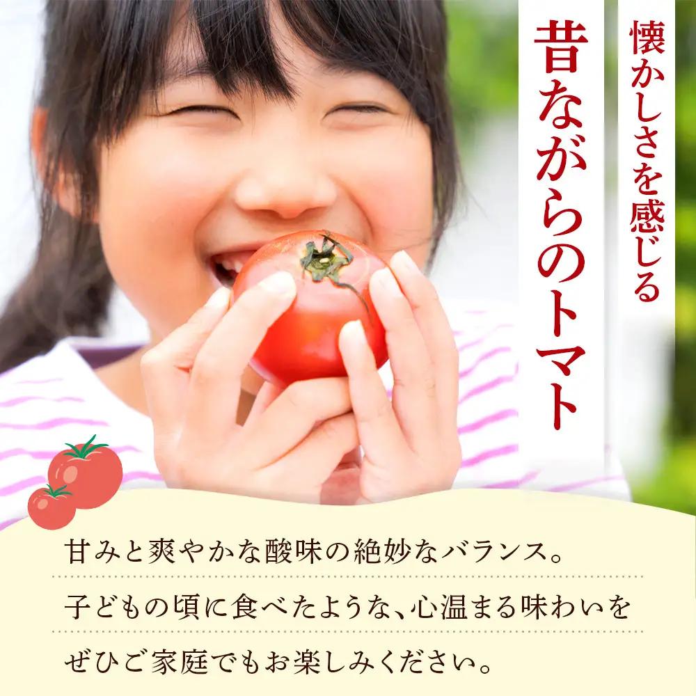 旭川市西神楽産 桃太郎トマト4kg（2026年6月中旬～発送開始予定）トマト _00960