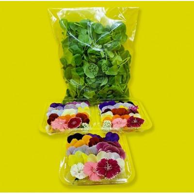 ふるさと納税 播磨町 食用のエディブルフラワー(生花)×3パック・サラダクレソン×1袋【Bセット】