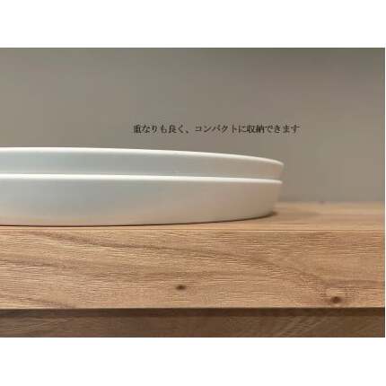 有田焼 マルチプレート Mist 2枚セット【丸兄商社】食器 器 うつわ 皿 丸皿 メイン皿 プレートワンプレート 2枚 セット ペア シンプル おしゃれ ホワイト A25-632_イメージ2