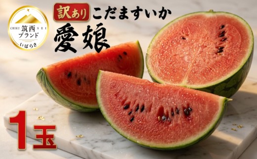 [2027年発送]【 訳あり 】 こだますいか 「 愛娘 」 1玉 2027年産 先行予約 西ブランド こだまスイカ 小玉スイカ すいか スイカ フルーツ 果物 ピノガール 西瓜 小玉西瓜 初夏 夏 期間限定 訳アリ 人気 水分 たっぷり 新鮮 旬 初夏 夏 小さめ 食べやすい 甘い 茨城 関東 筑西