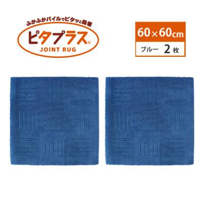ふるさと納税 海南市 洗えるジョイントマット　60×60cm　ブルー　2枚組　ピタプラス　吸着